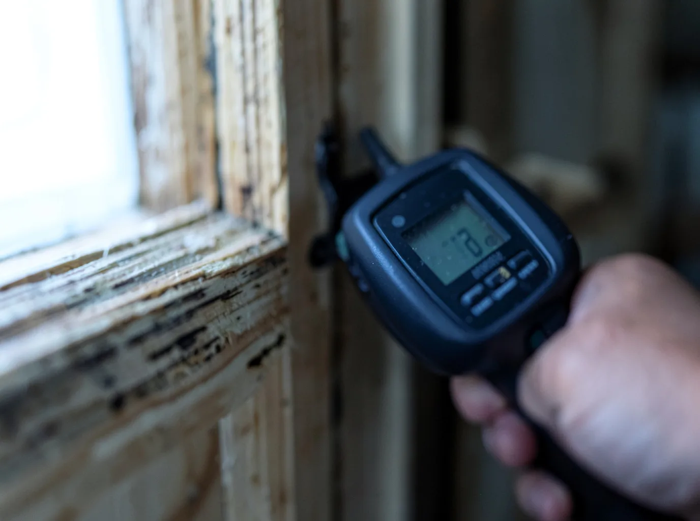 Moisture Inspection And Documentation in La Sal, UT